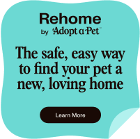 Adopt A Pet's Rehome logo